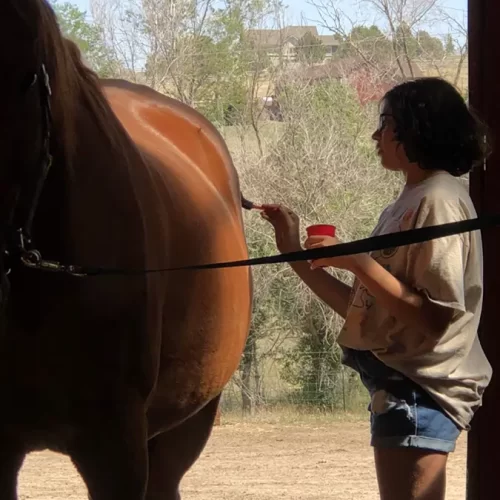 horsepaintingpng